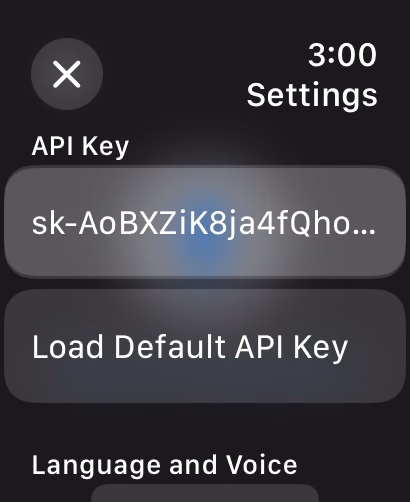 Whisperer API key settings screen on Apple Watch